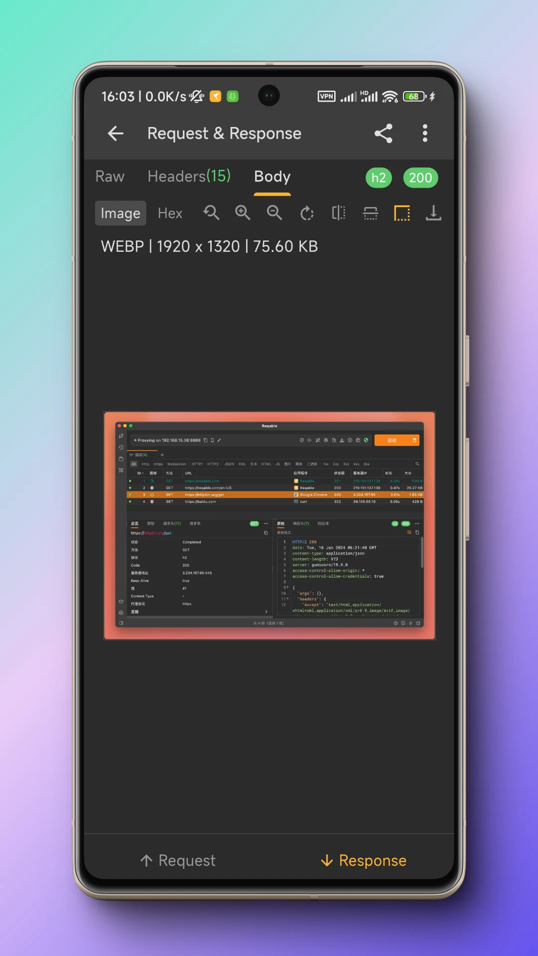 Reqable API Testing & Capture screenshot