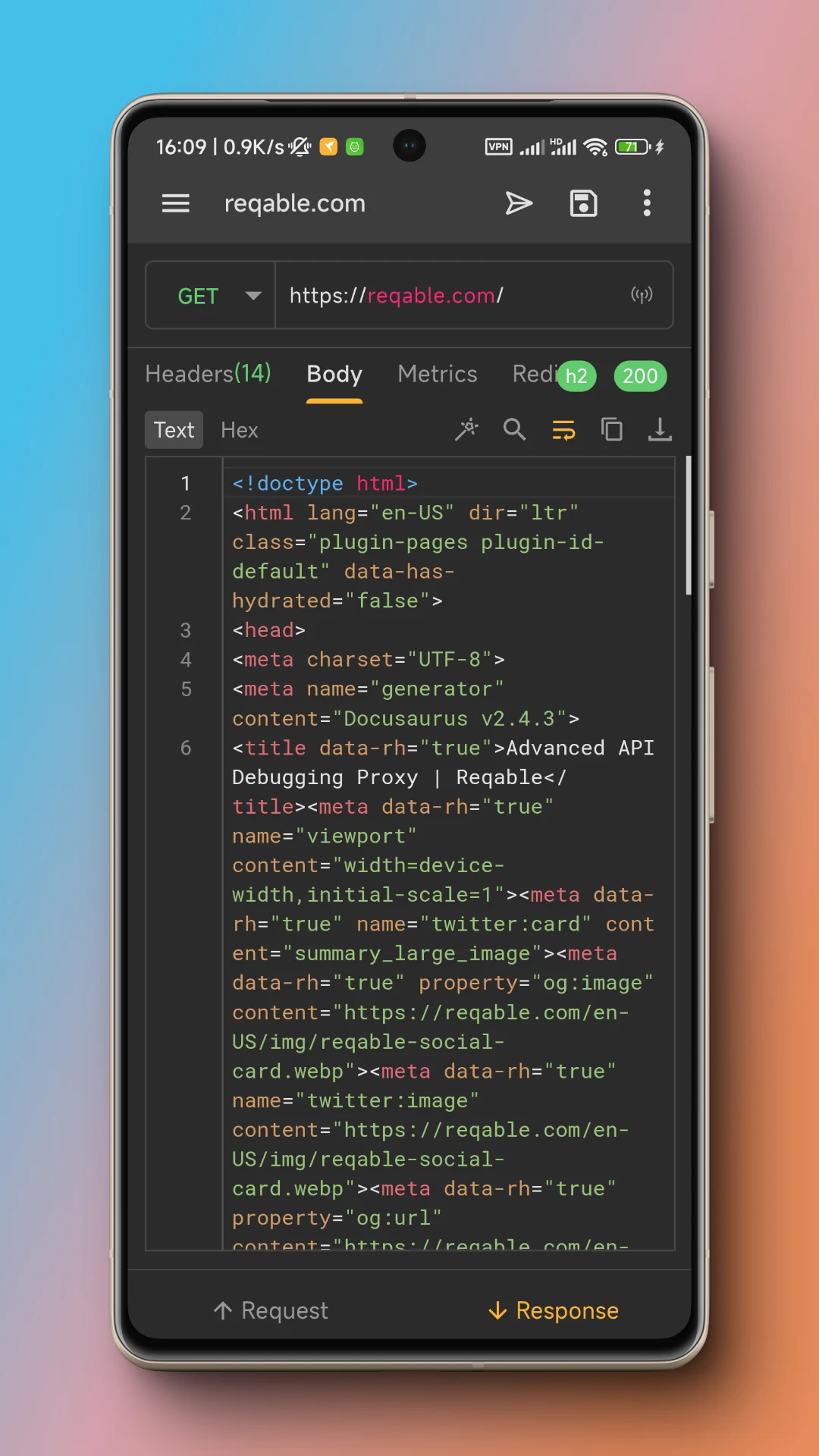 Reqable API Testing & Capture screenshot