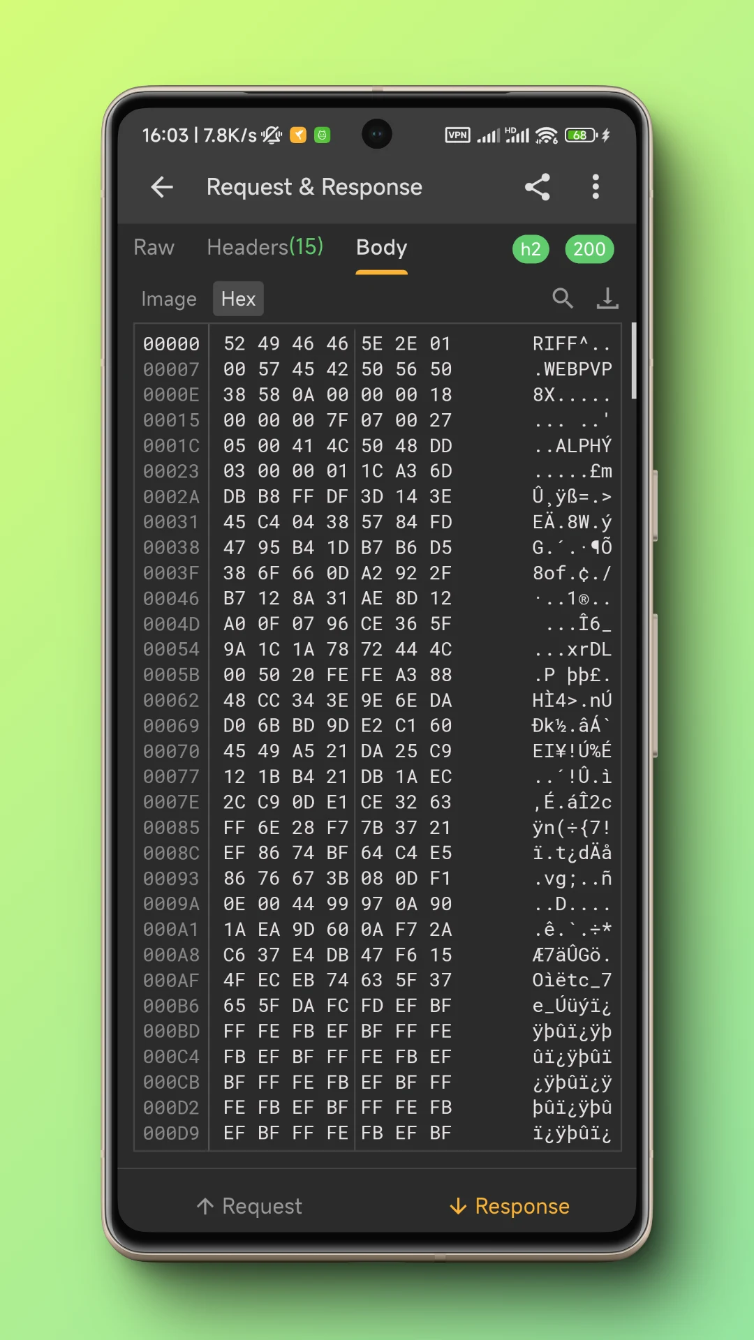 Reqable API Testing & Capture screenshot